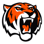 logo Амурские Тигры