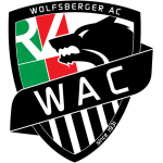 logo Вольфсберг