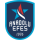 Анадолу Эфес логотип