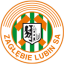 logo Заглембе