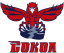 logo Сокол